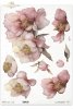 dekoracyjne wzory, motywy kwiatowe, bukiet kwiatów, Ogród Muz, Garden of Muses * Mulberry decoupage paper FPA1005, decorative patterns, floral motifs, bouquet of flowers, Garden of Muses *Seria Garden of Muses